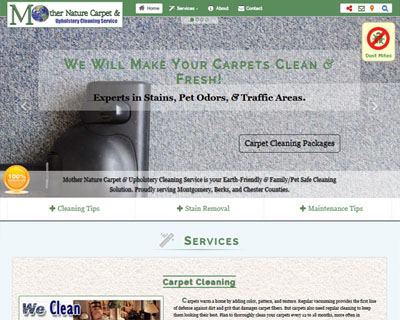 Mother Nature Carpet & Upholstery Cleaning Service